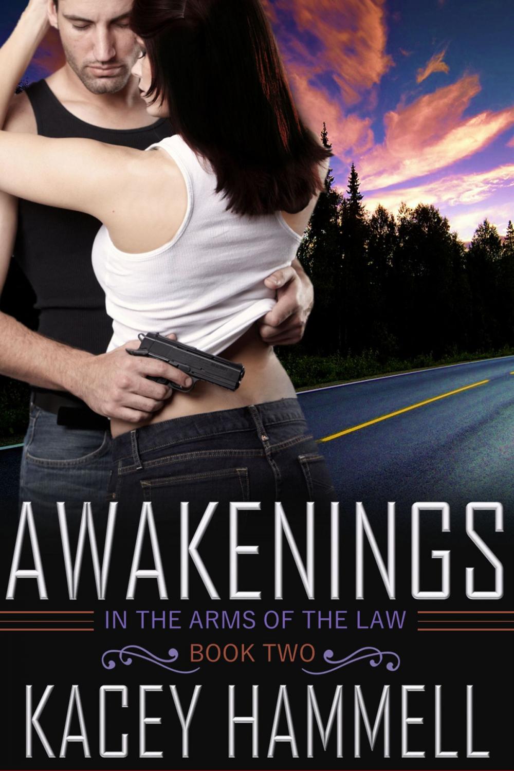 Big bigCover of Awakenings (In the Arms of the Law, Book 2)