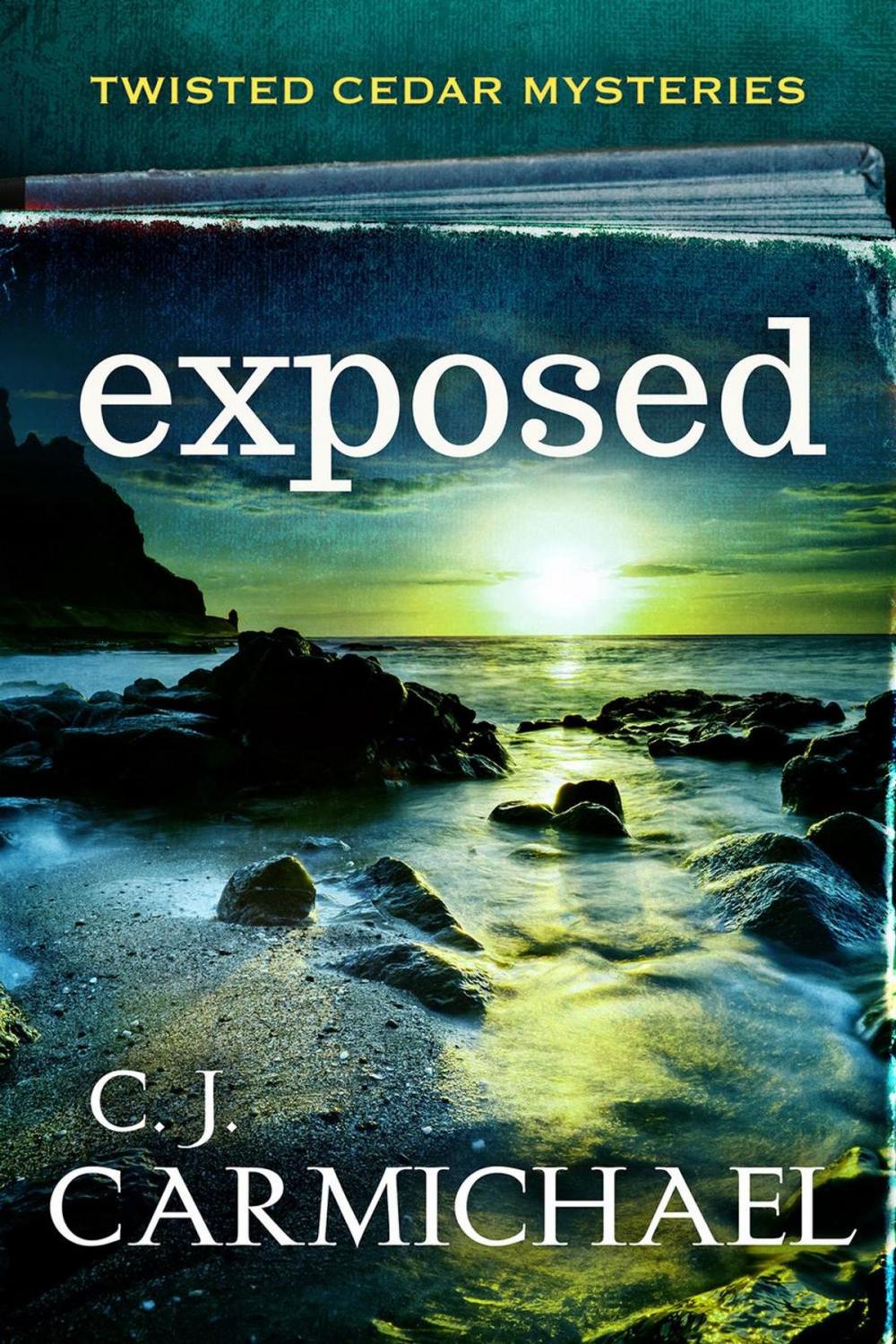 Big bigCover of Exposed