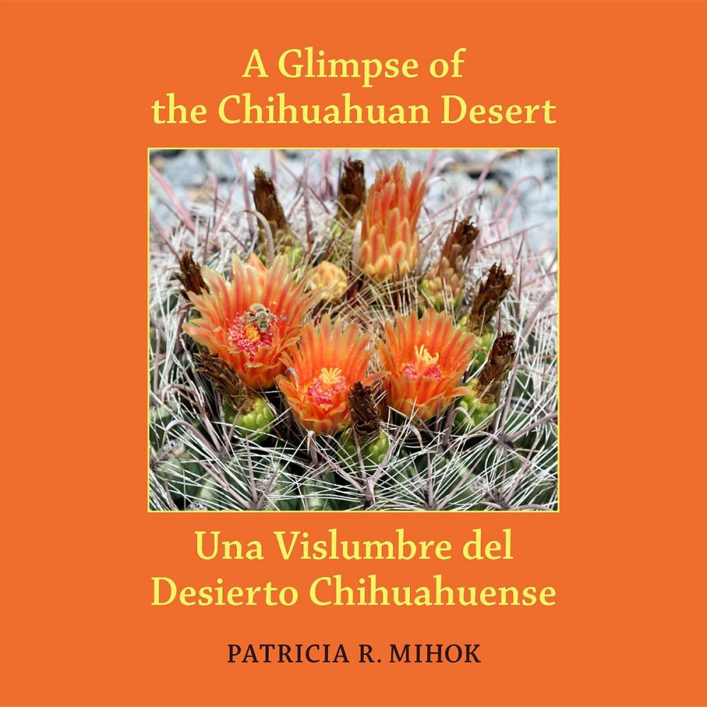 Big bigCover of A Glimpse of the Chihuahuan Desert/Una Visluimbre del Desierto Chihuahuense