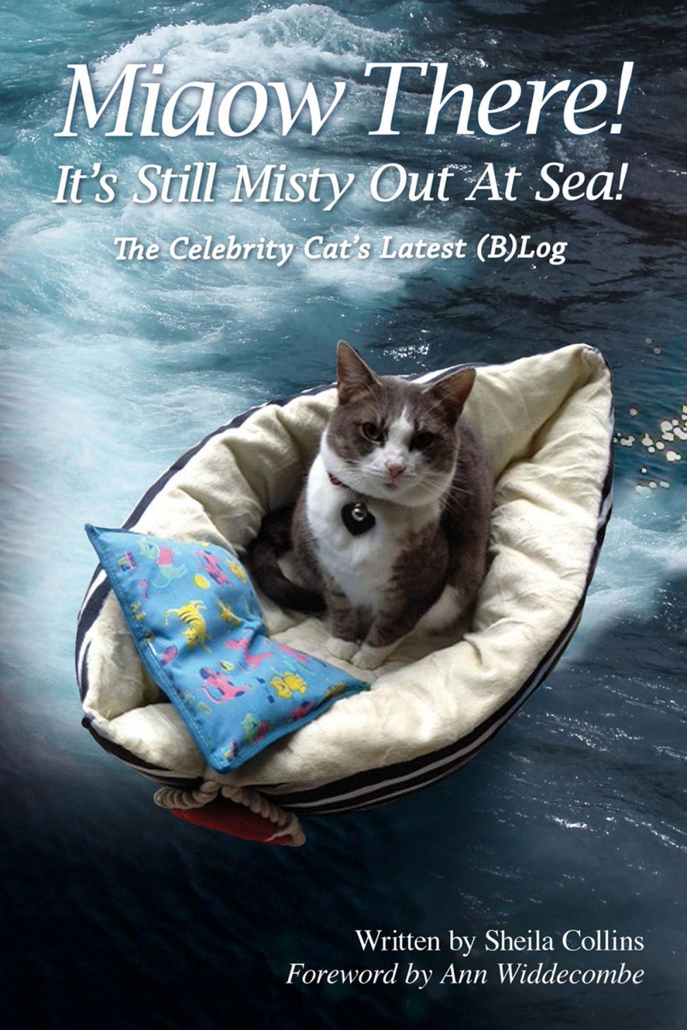 Big bigCover of Miaow There! It's Still Misty Out At Sea!