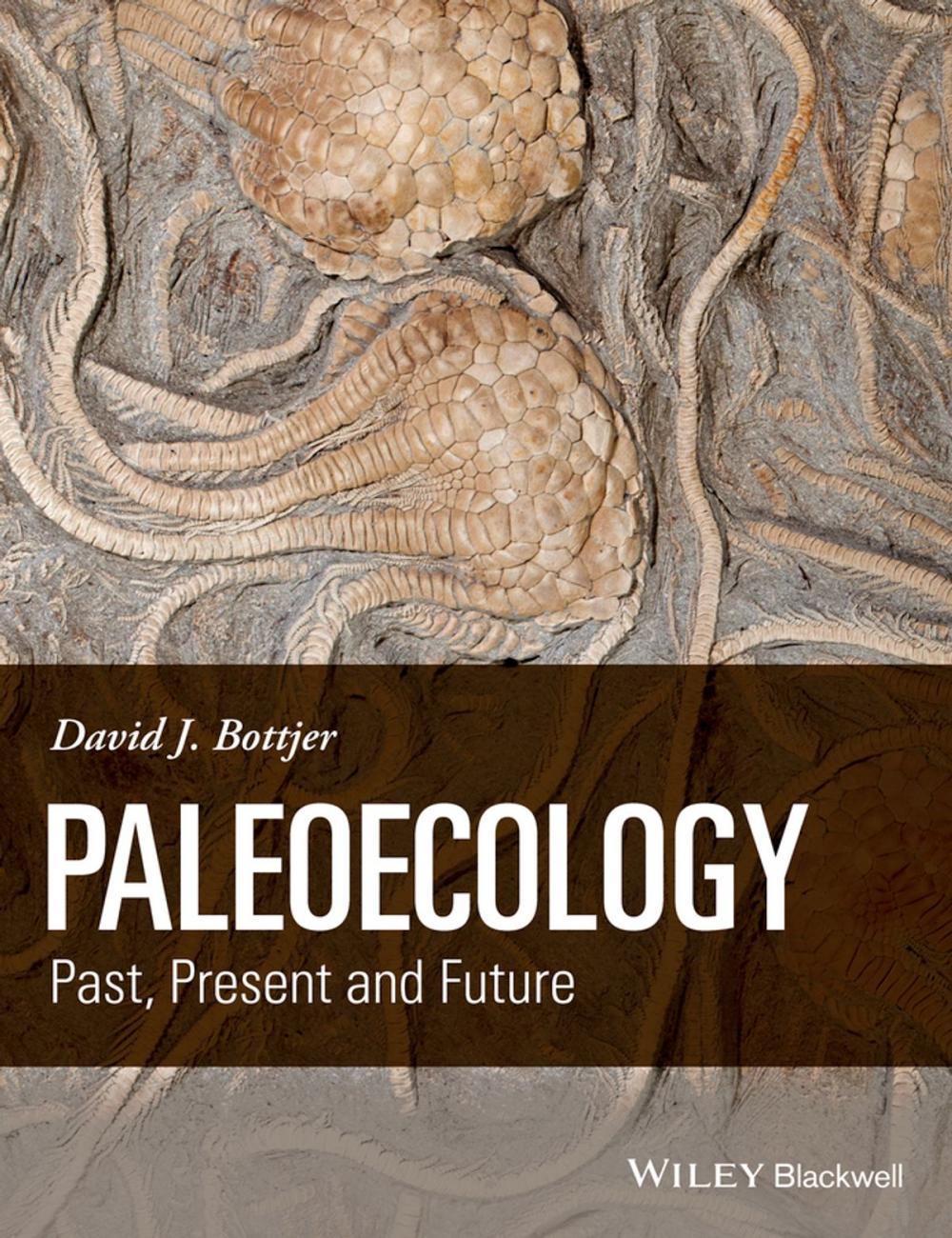 Big bigCover of Paleoecology