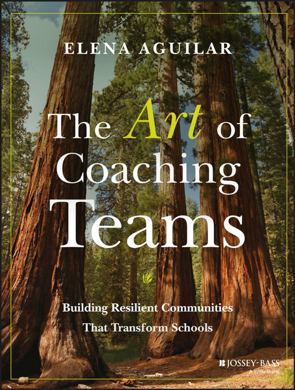 Big bigCover of The Art of Coaching Teams