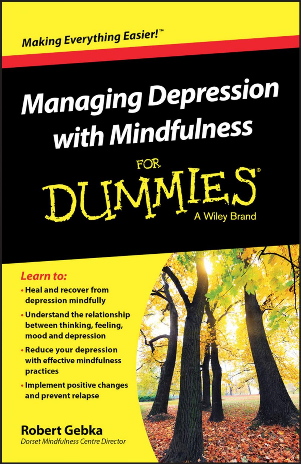 Big bigCover of Managing Depression with Mindfulness For Dummies