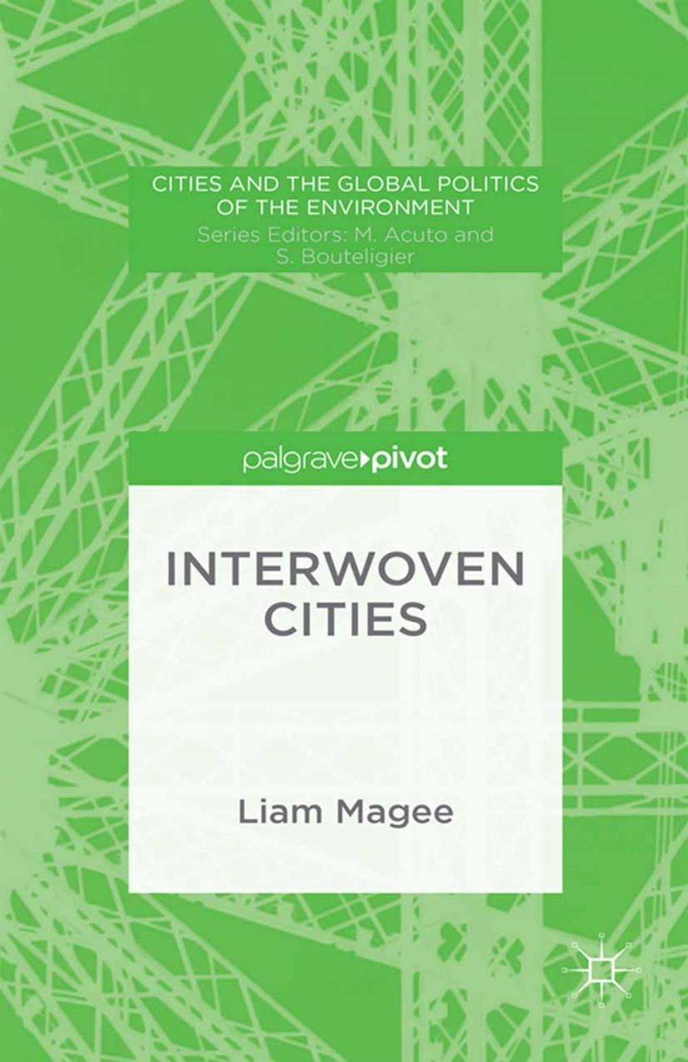 Big bigCover of Interwoven Cities