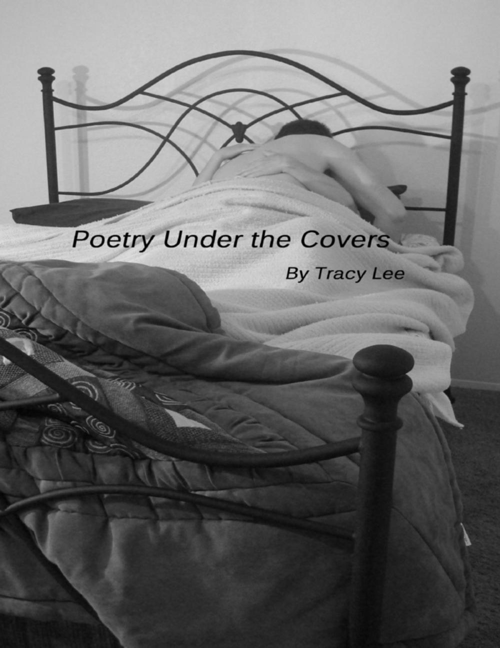 Big bigCover of Poetry Under the Covers