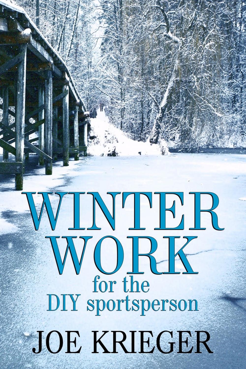 Big bigCover of Winter Work for the DIY sportsperson