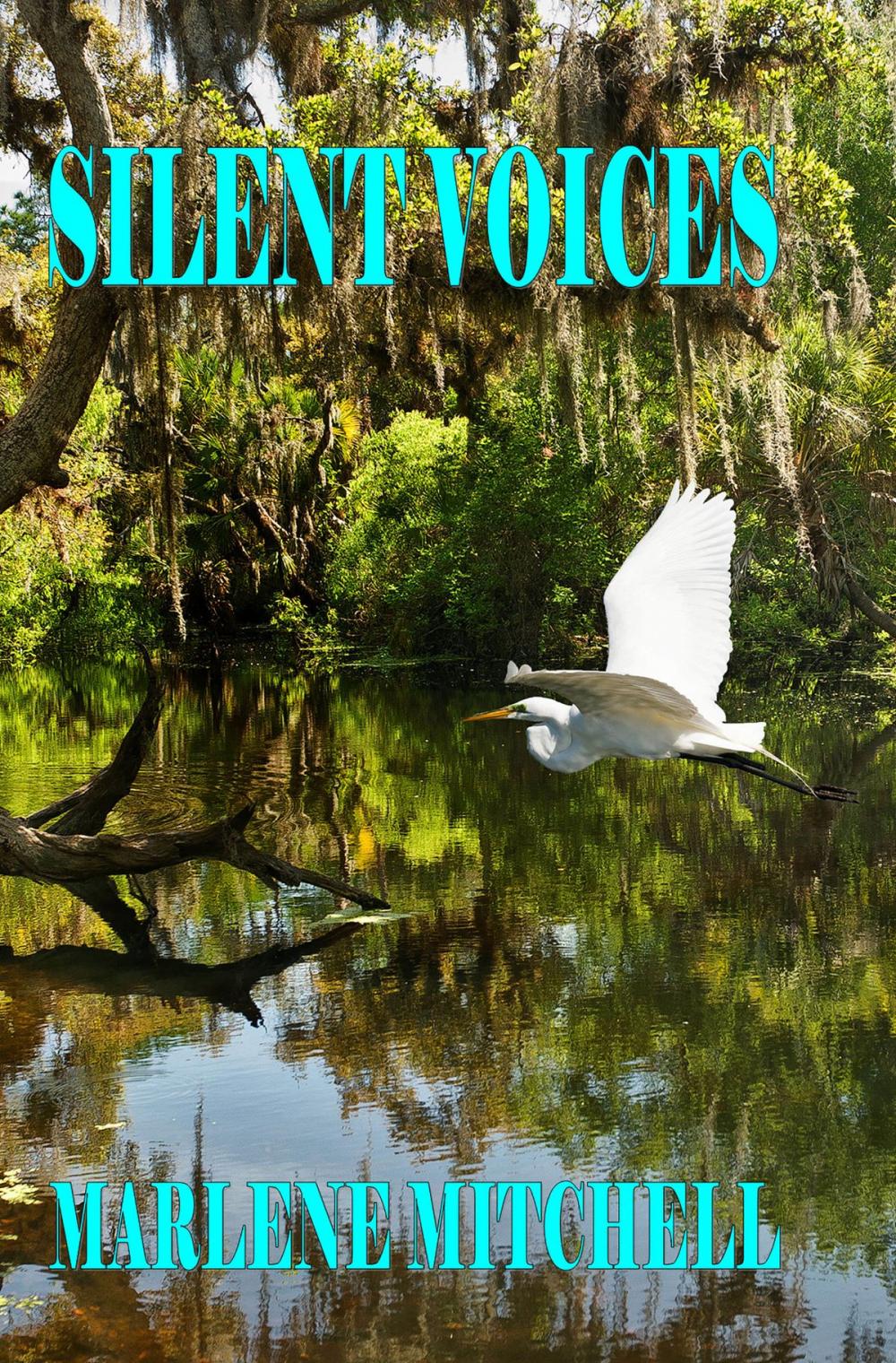 Big bigCover of Silent Voices