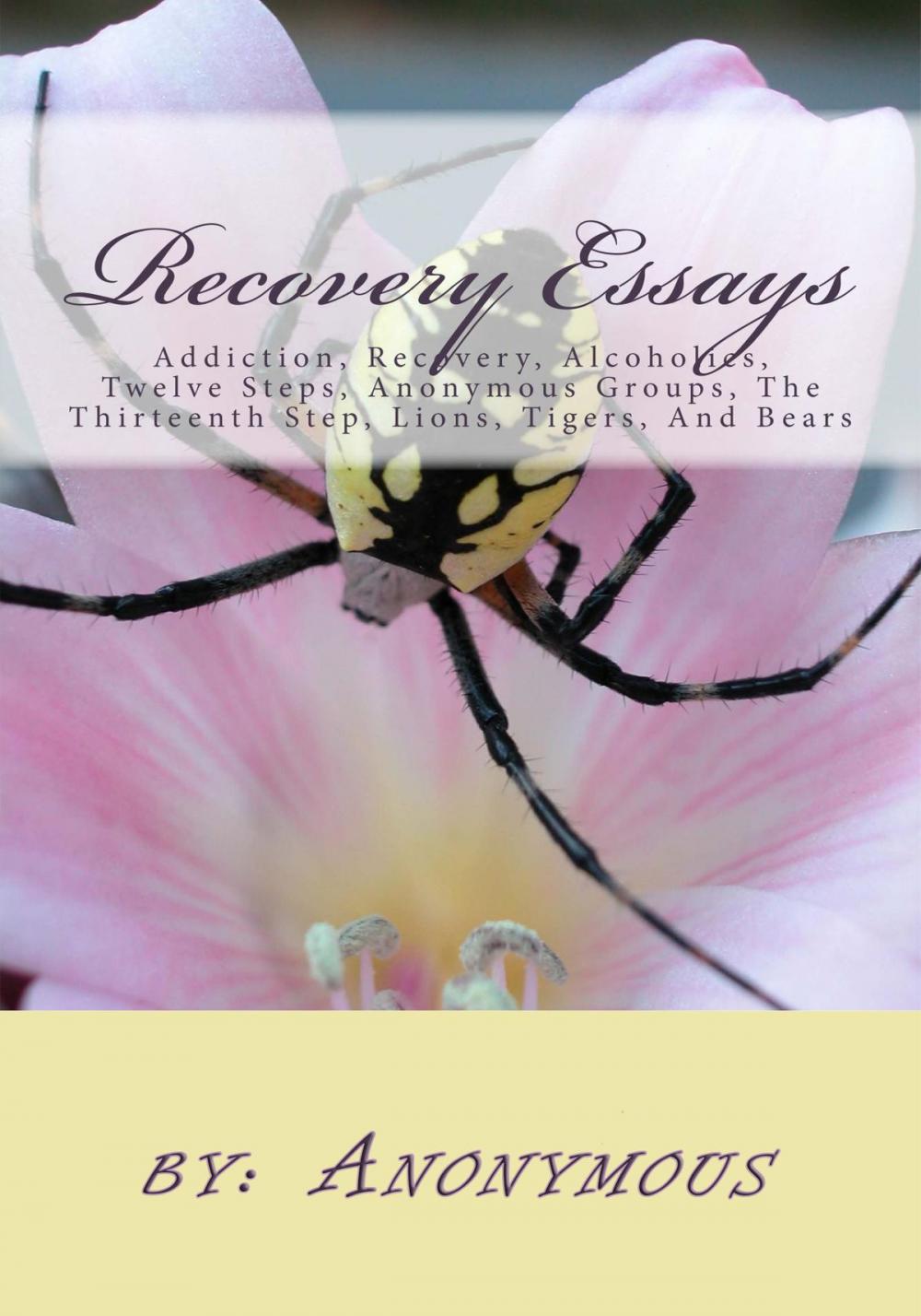 Big bigCover of Recovery Essays