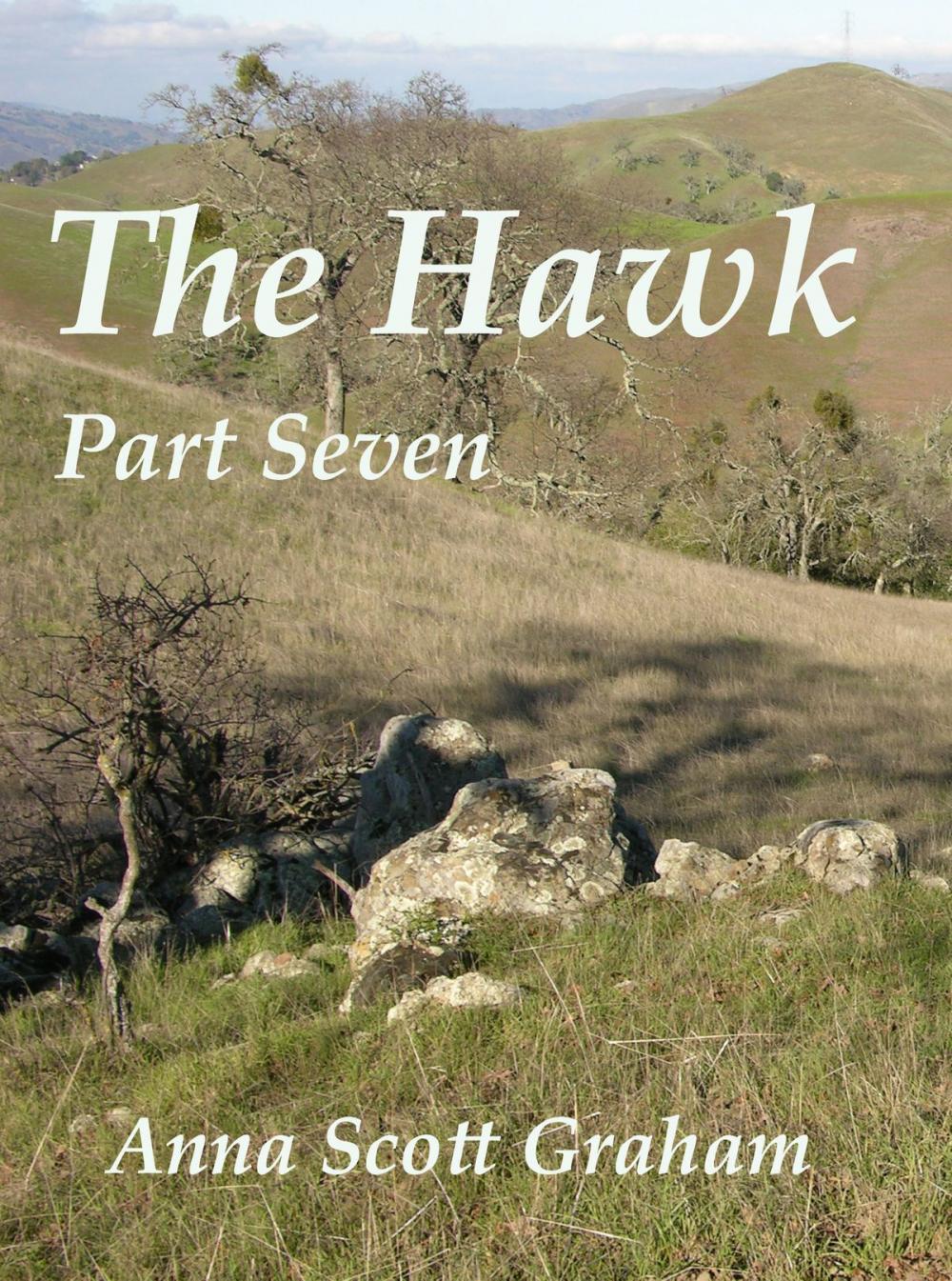 Big bigCover of The Hawk: Part Seven