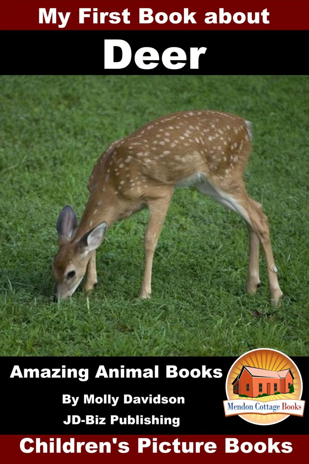 Big bigCover of My First Book about Deer: Amazing Animal Books - Children's Picture Books