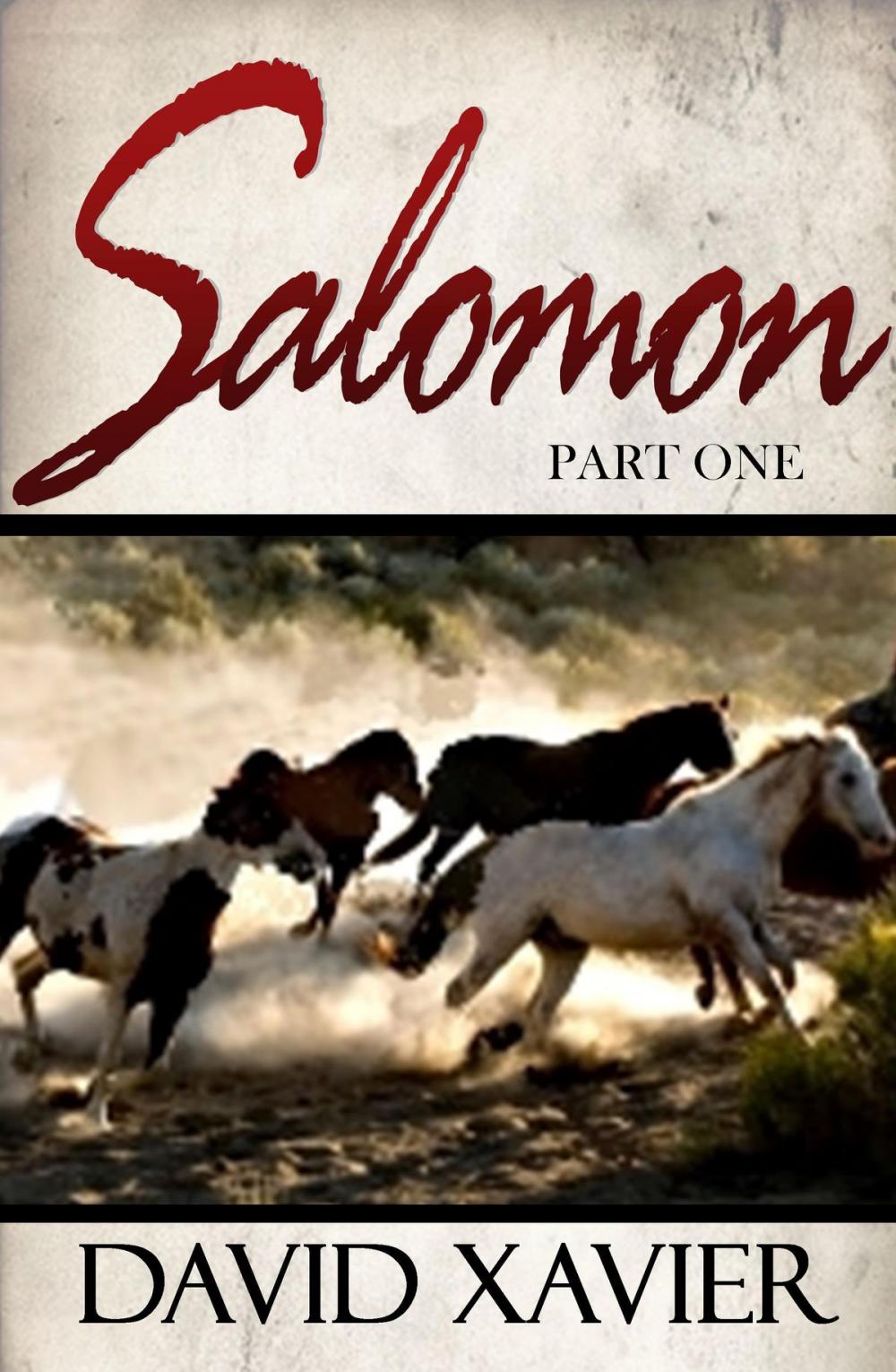 Big bigCover of Salomon (Part One)