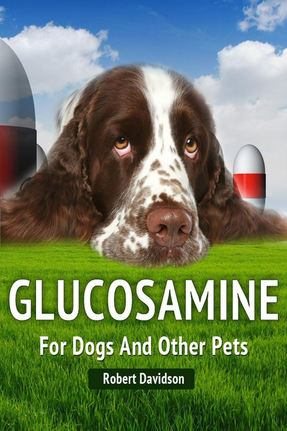 Big bigCover of Glucosamine For Dogs And Other Pets