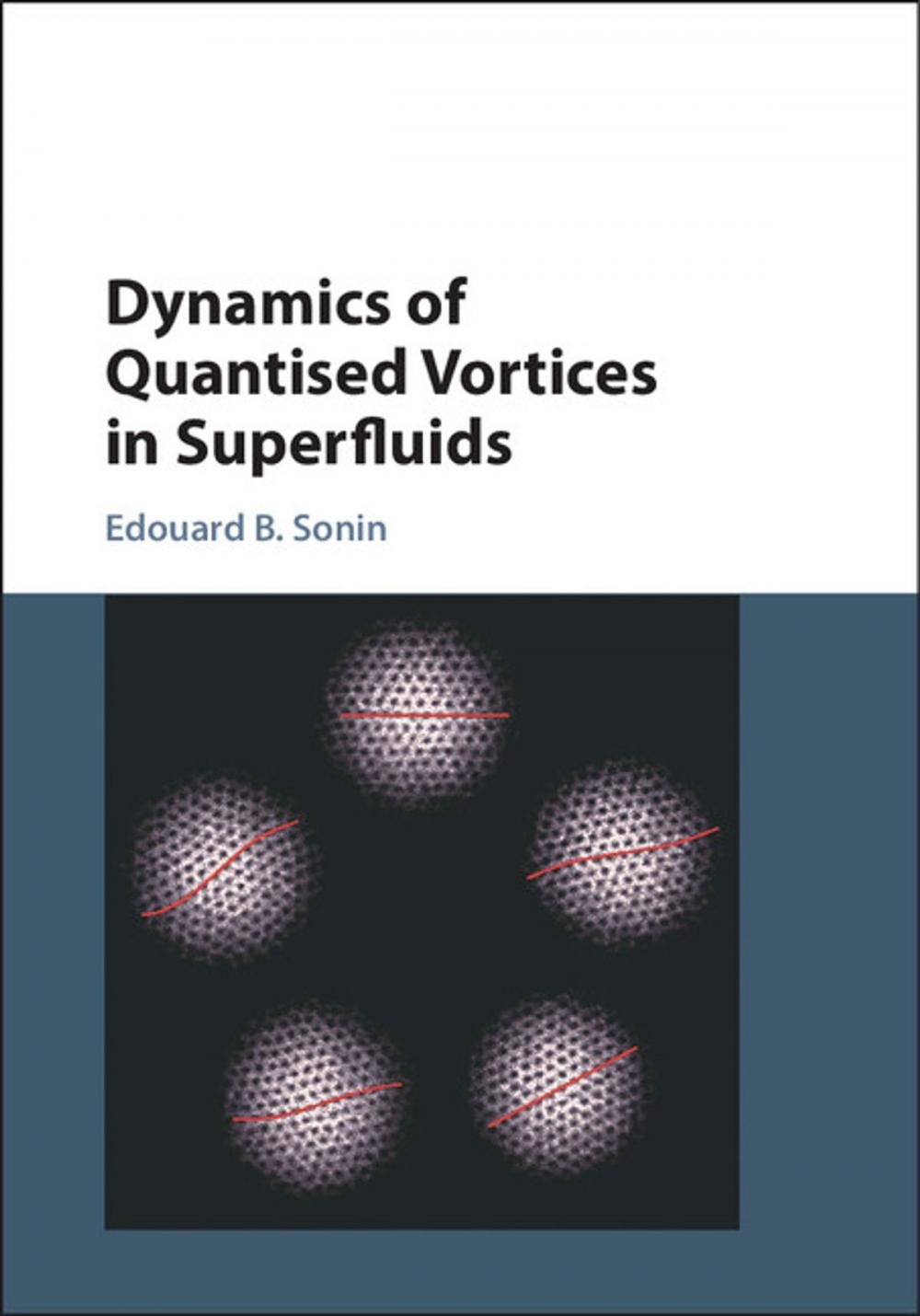 Big bigCover of Dynamics of Quantised Vortices in Superfluids