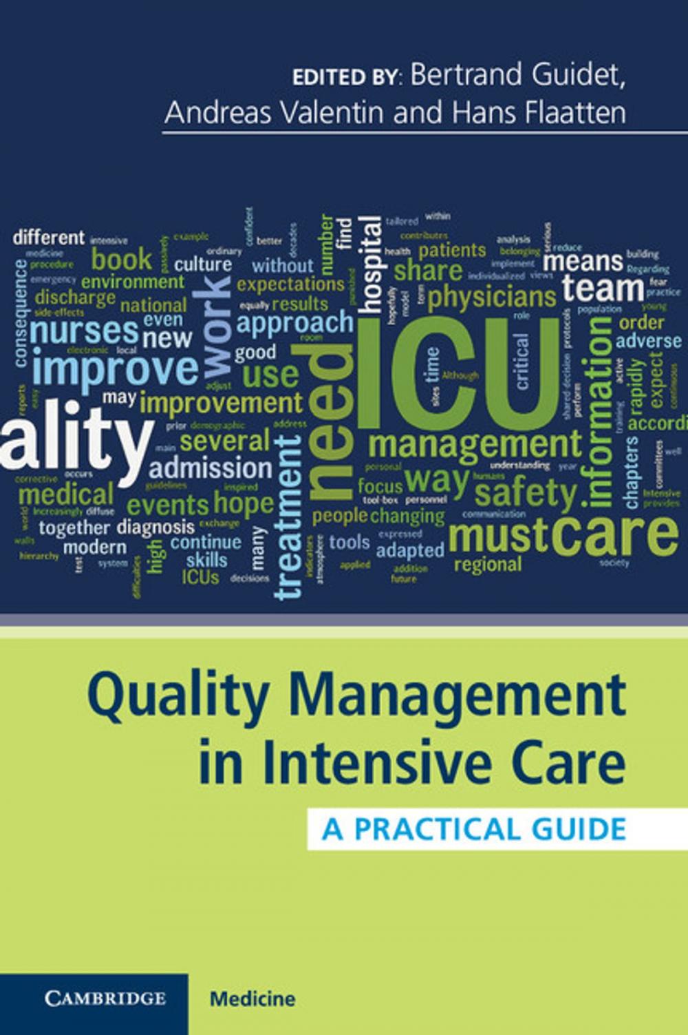 Big bigCover of Quality Management in Intensive Care