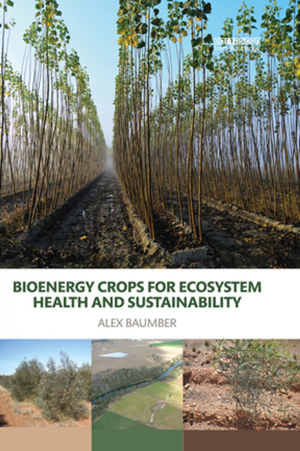 Big bigCover of Bioenergy Crops for Ecosystem Health and Sustainability