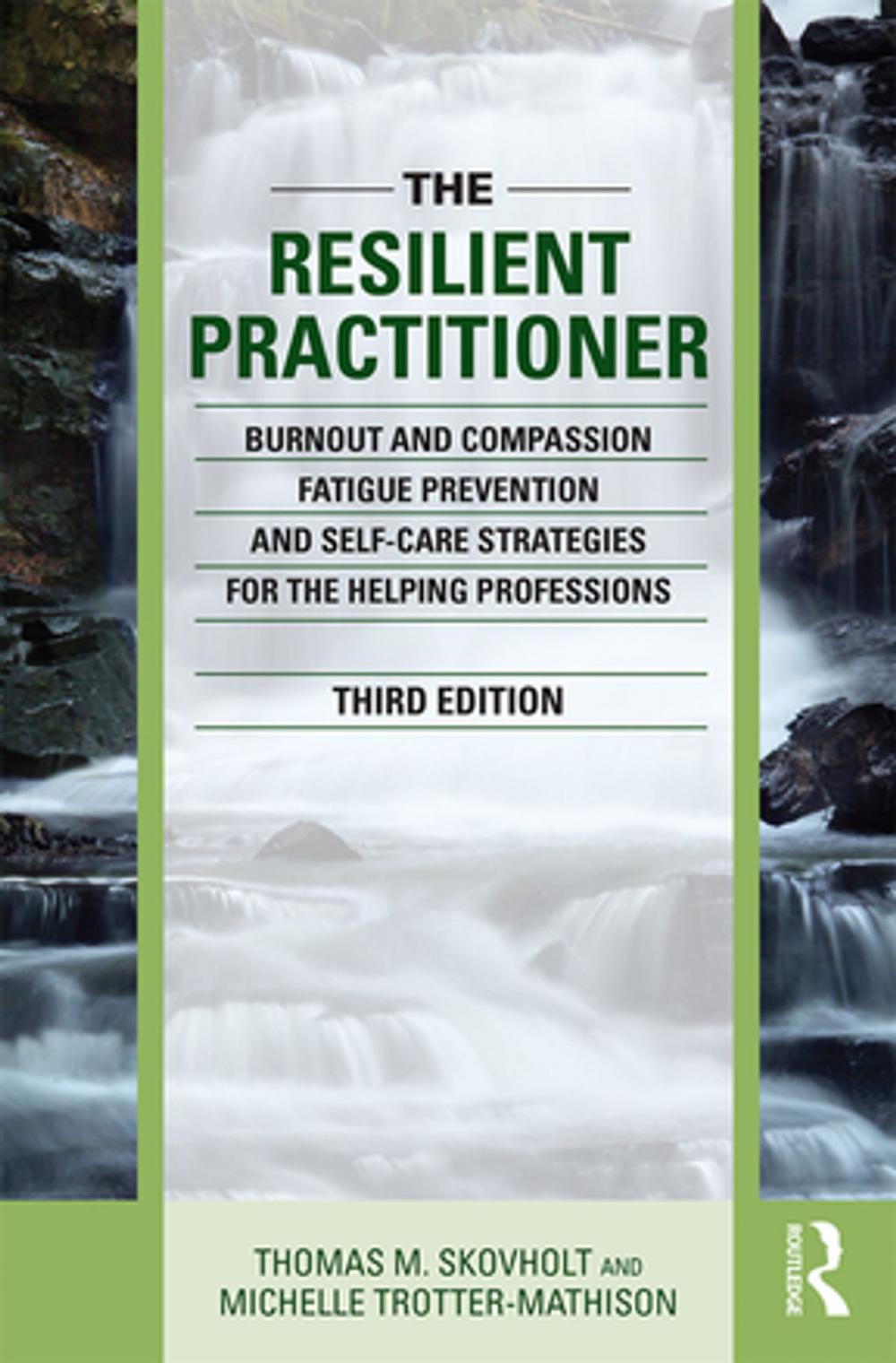 Big bigCover of The Resilient Practitioner