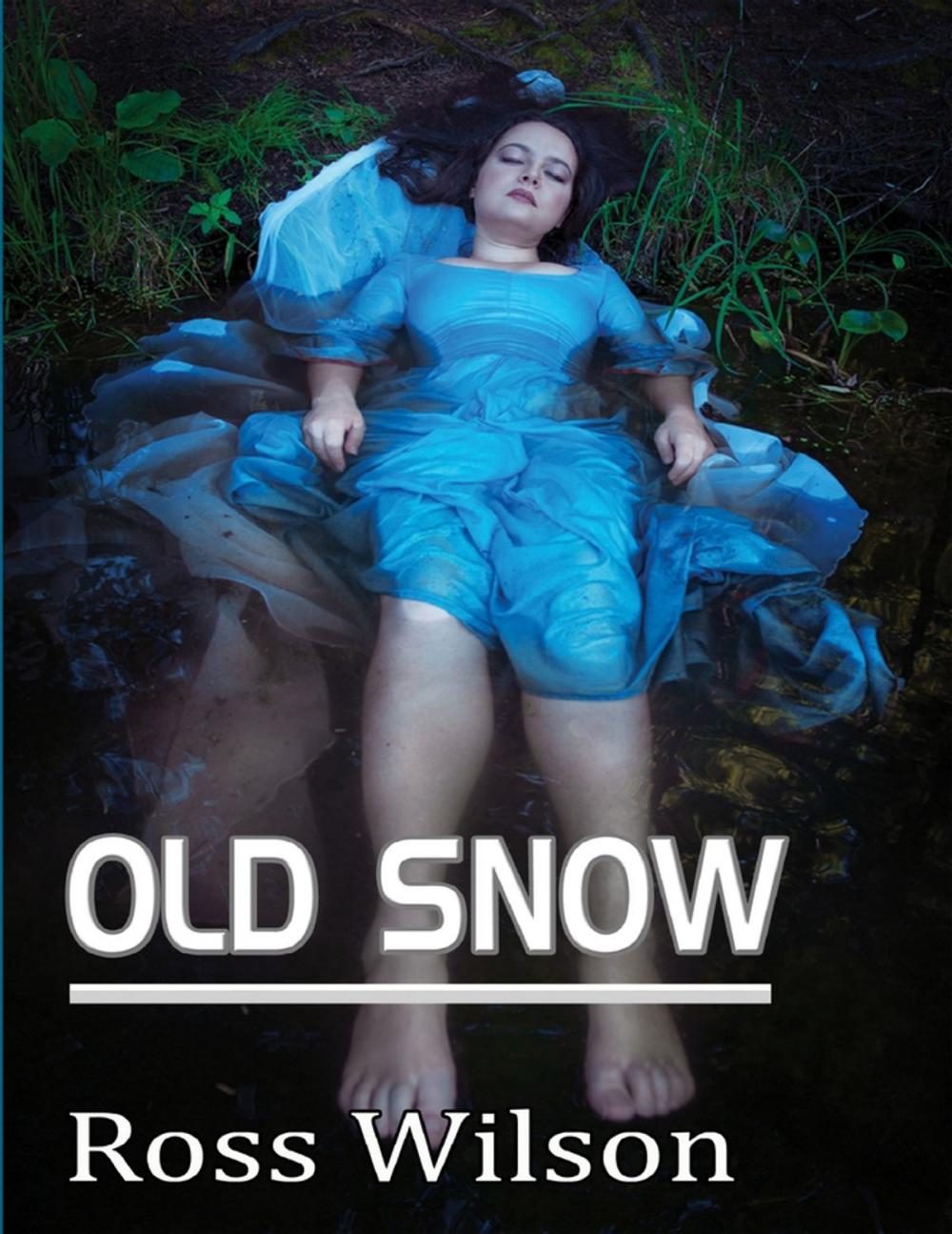 Big bigCover of Old Snow