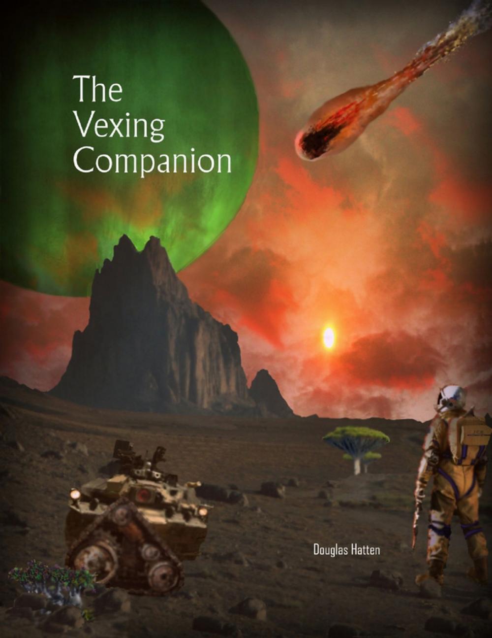 Big bigCover of The Vexing Companion