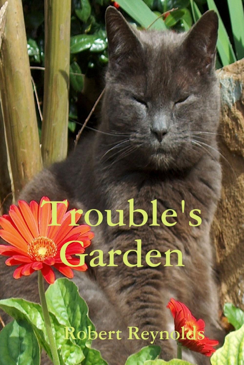 Big bigCover of Trouble's Garden