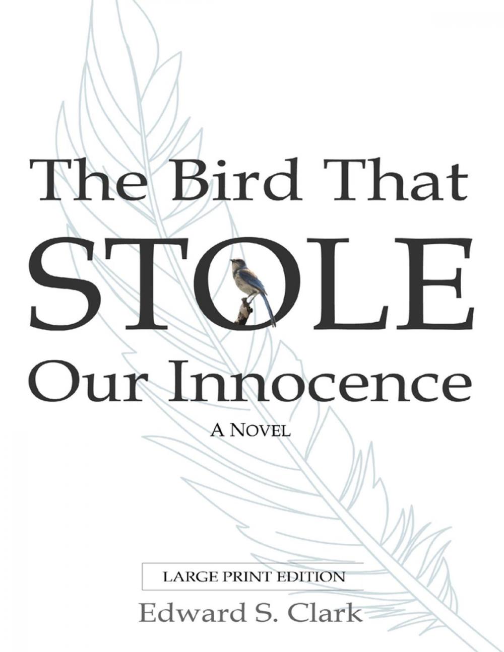 Big bigCover of The Bird That Stole Our Innocence