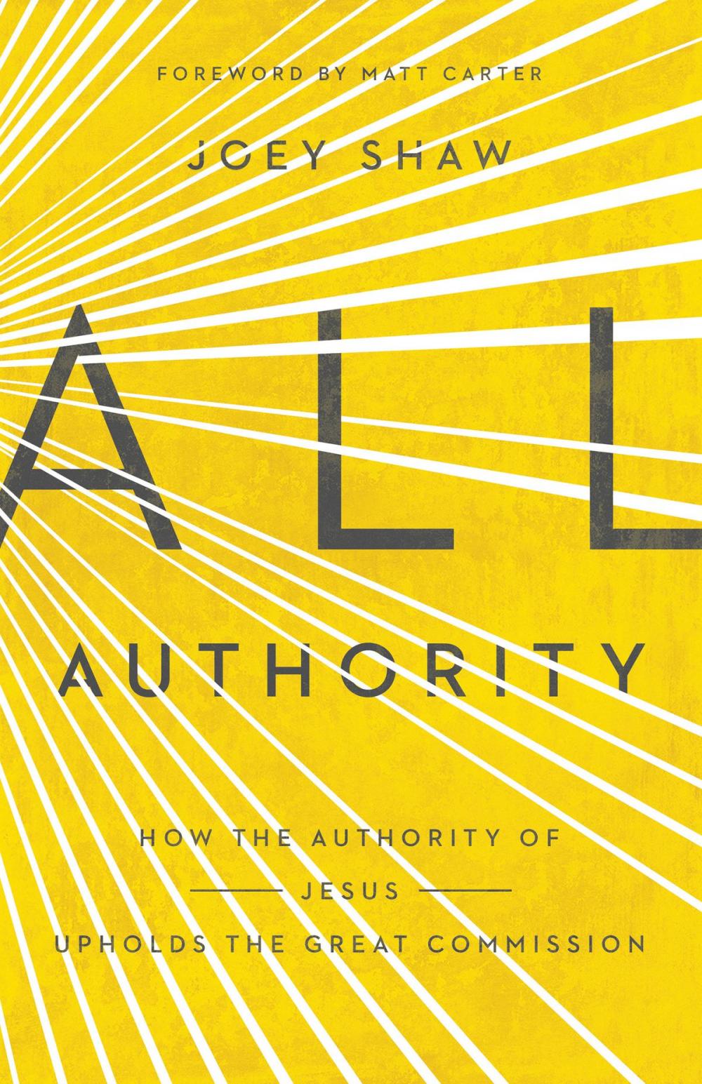 Big bigCover of All Authority