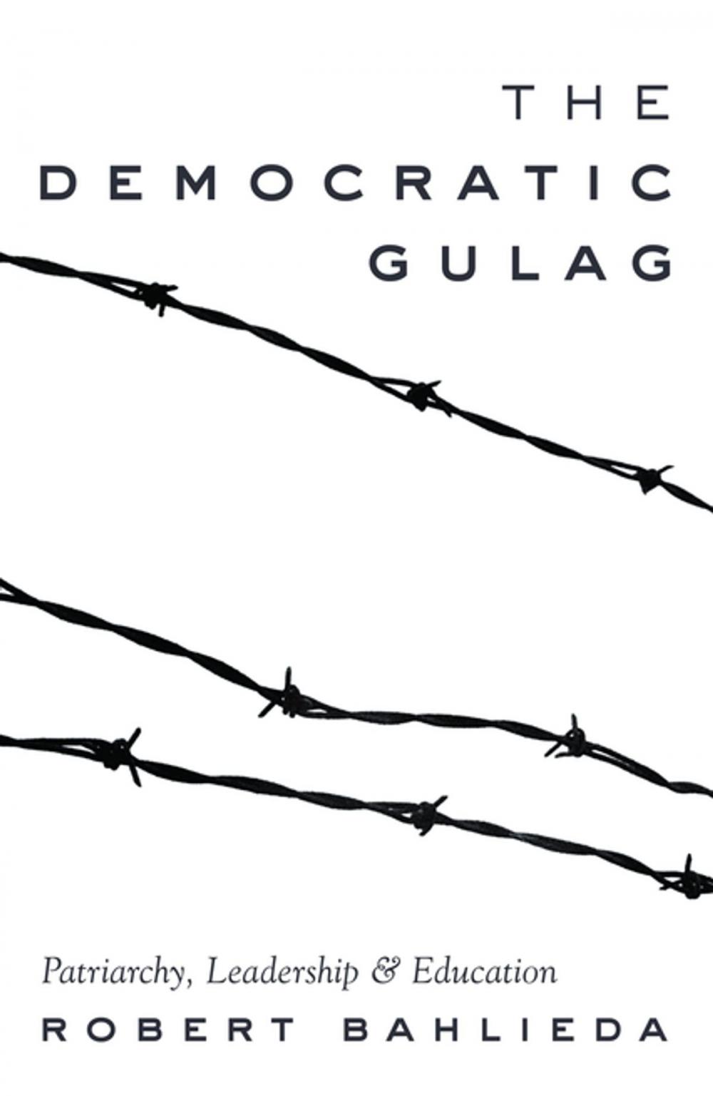 Big bigCover of The Democratic Gulag