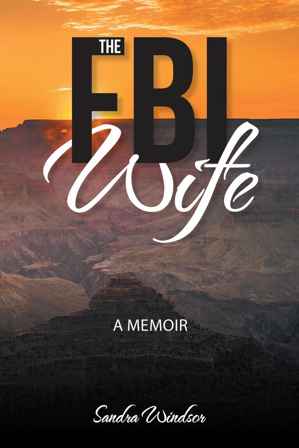 Big bigCover of The Fbi Wife