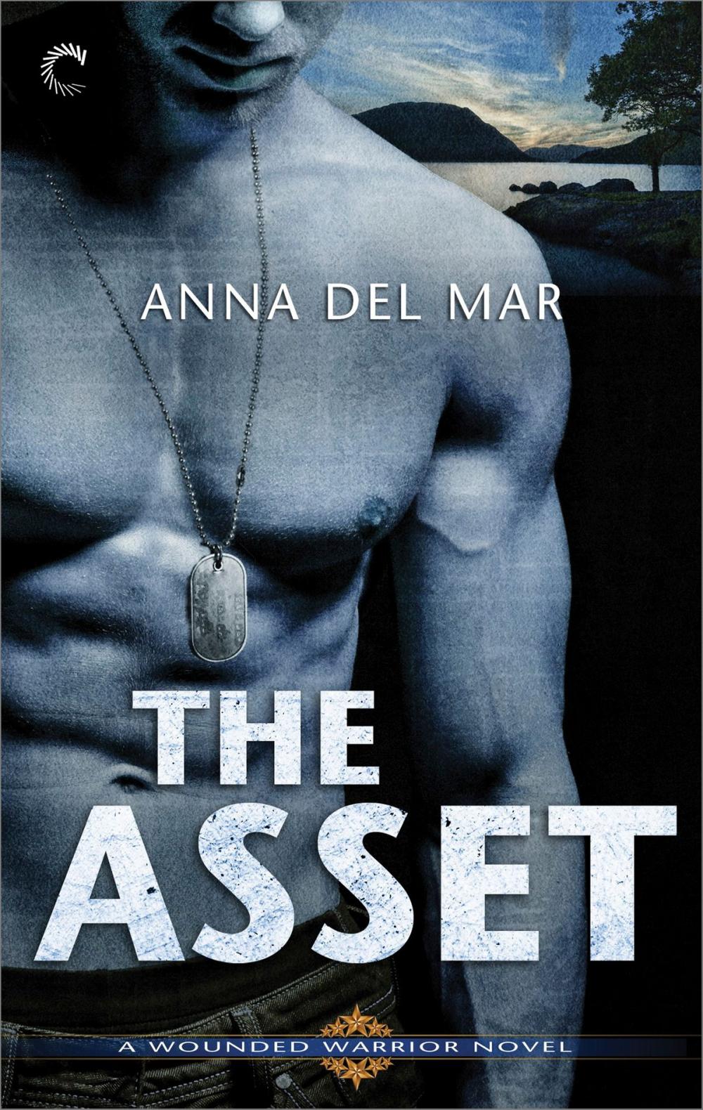 Big bigCover of The Asset