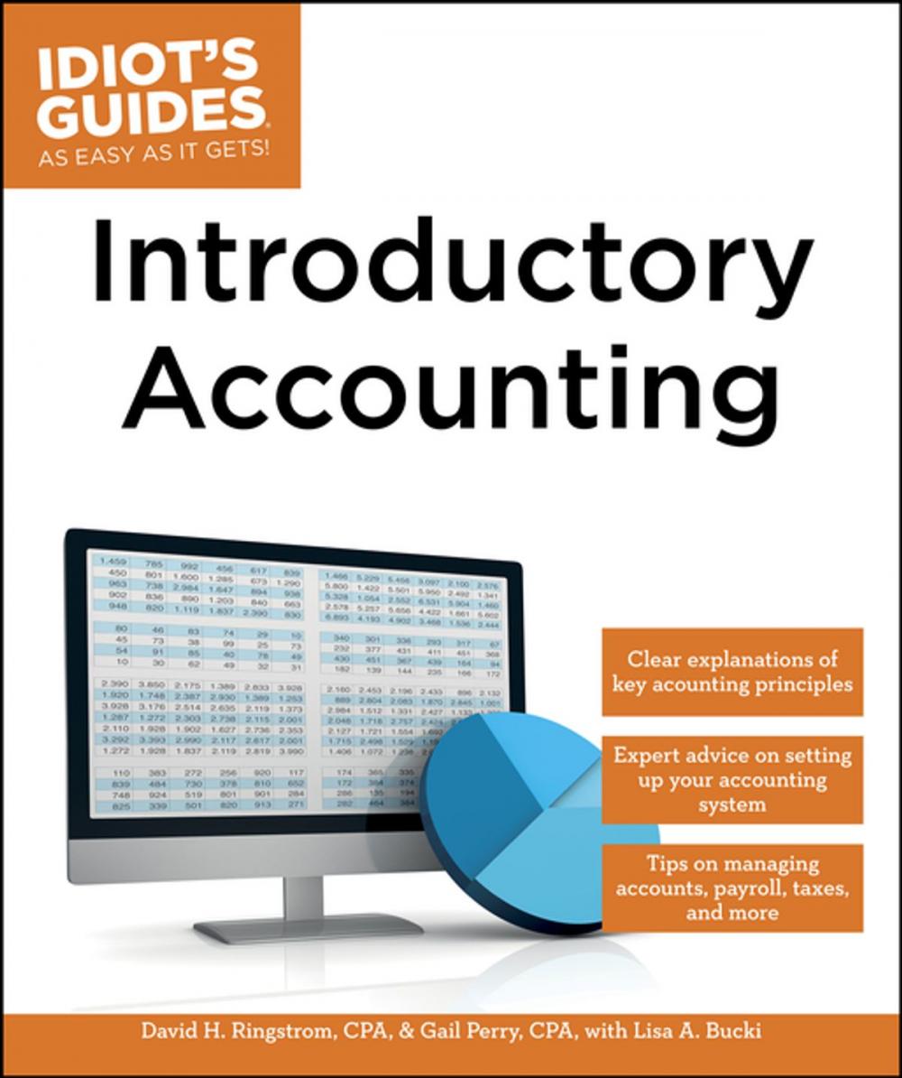 Big bigCover of Introductory Accounting