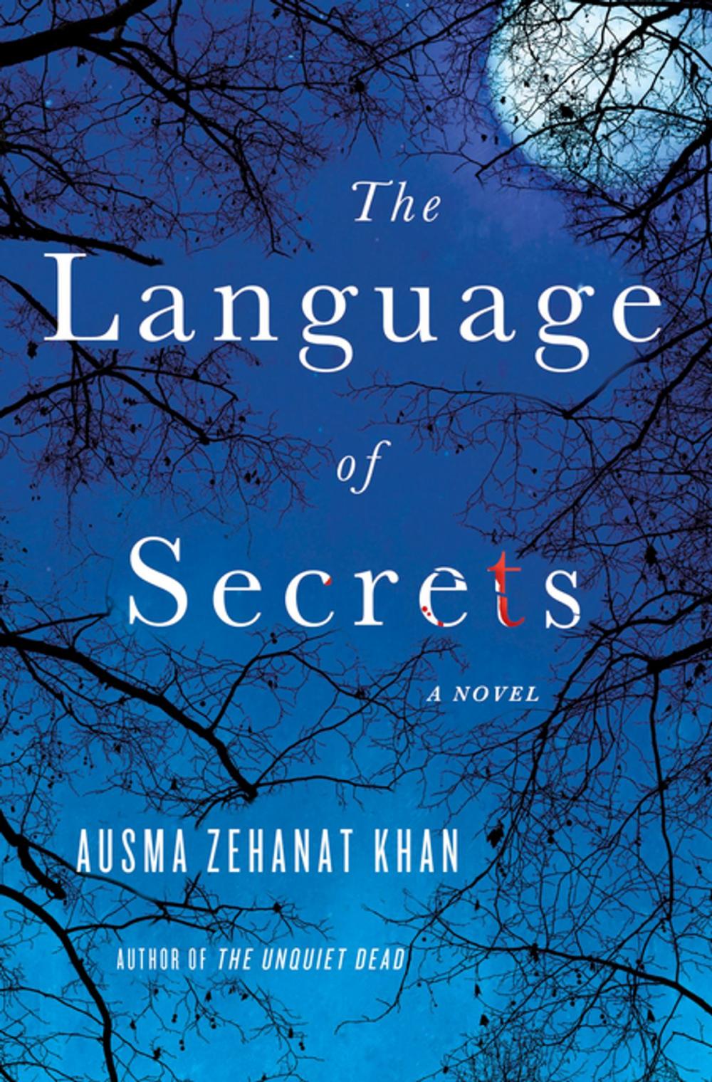 Big bigCover of The Language of Secrets