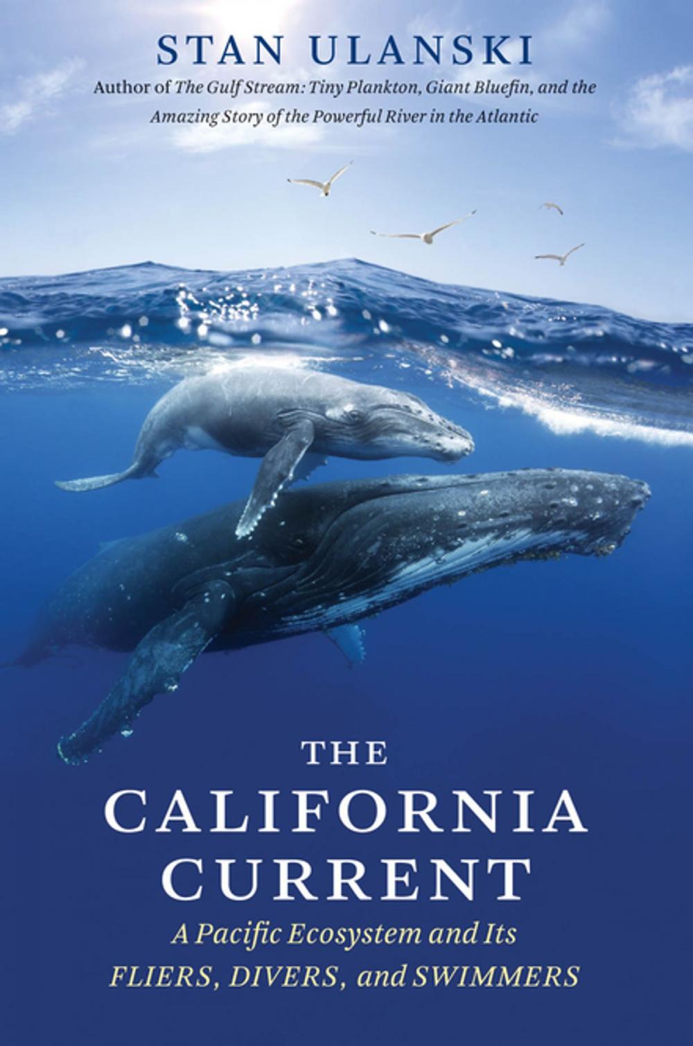 Big bigCover of The California Current