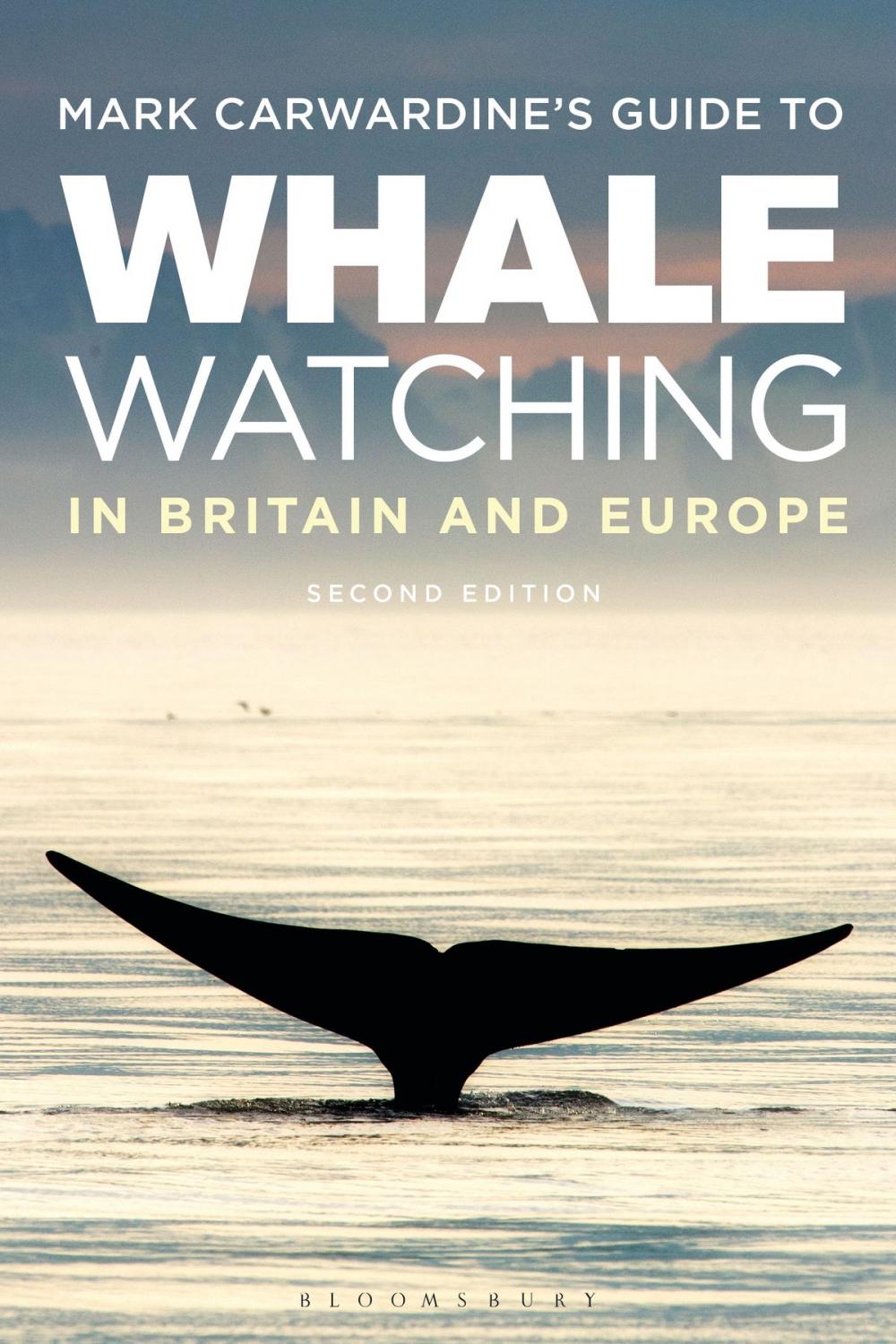 Big bigCover of Mark Carwardine's Guide To Whale Watching In Britain And Europe