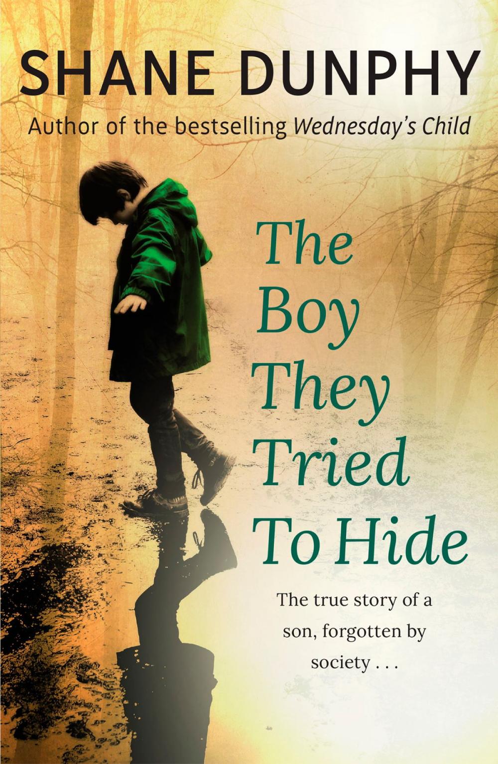 Big bigCover of The Boy They Tried to Hide