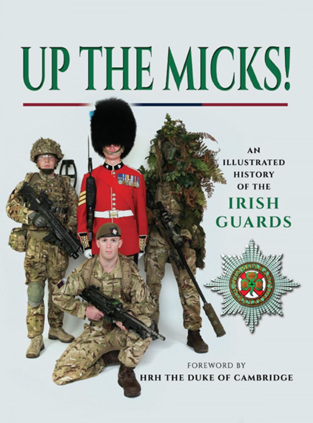 Big bigCover of Up the Micks!