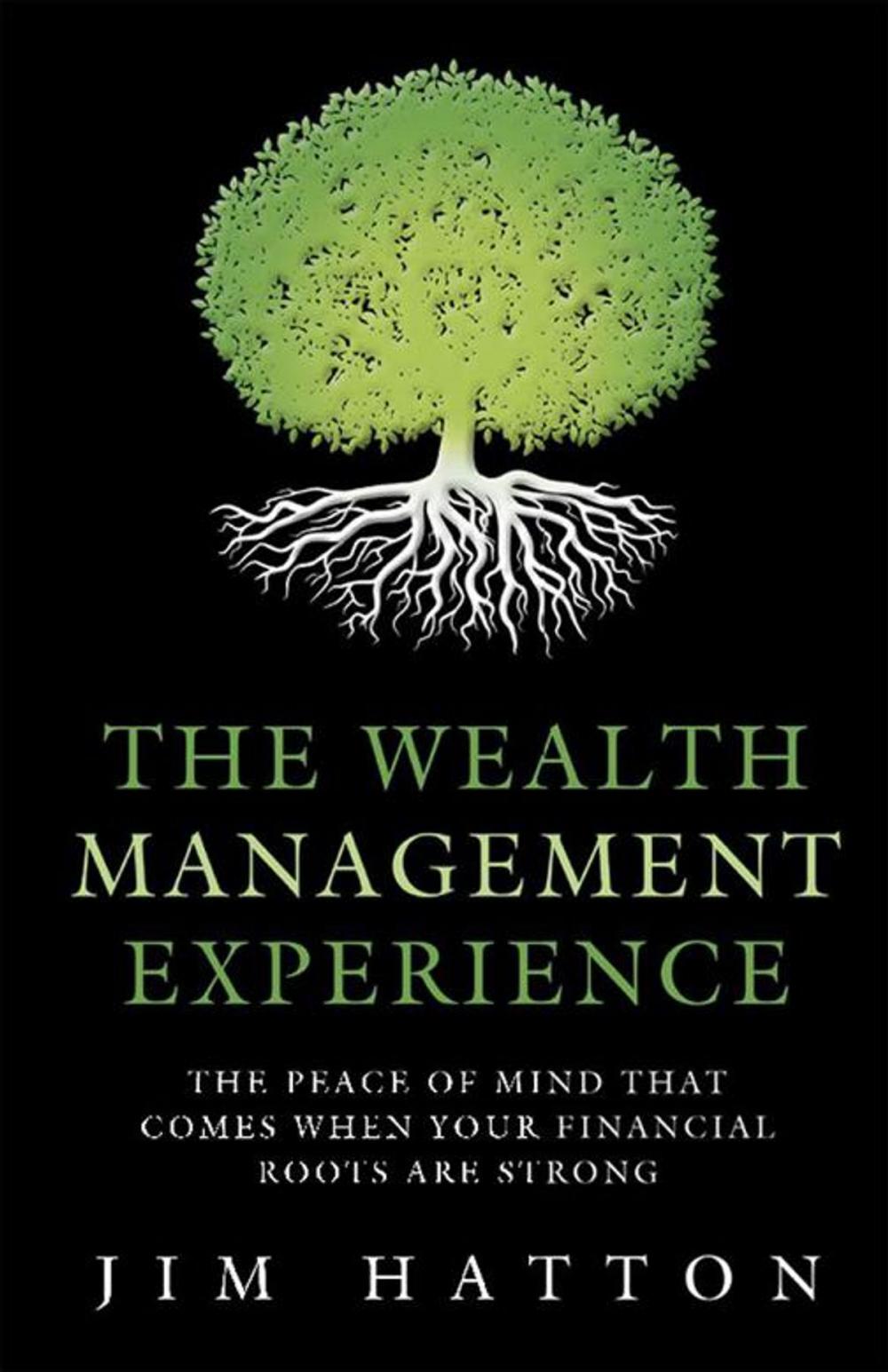 Big bigCover of The Wealth Management Experience