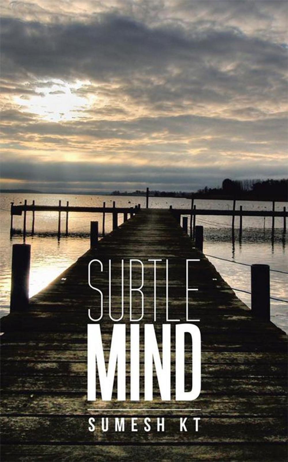 Big bigCover of Subtle Mind