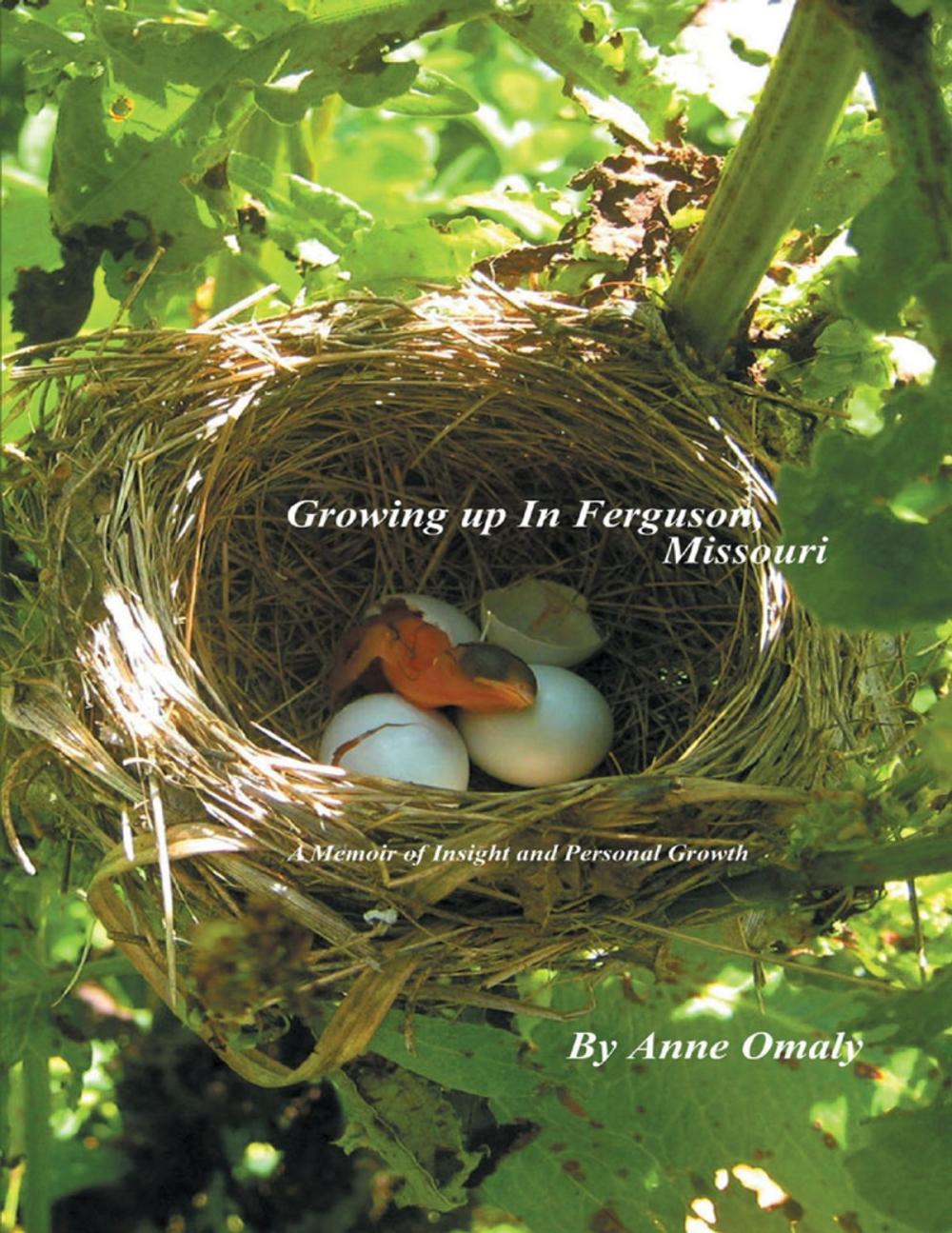 Big bigCover of Growing Up In Ferguson, Missouri: A Memoir of Insight and Personal Growth