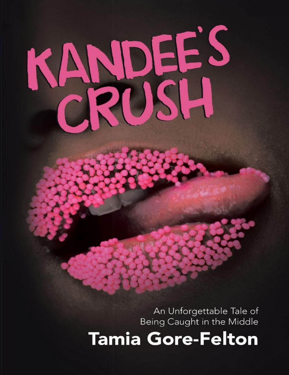 Big bigCover of Kandee’s Crush: An Unforgettable Tale of Being Caught In the Middle