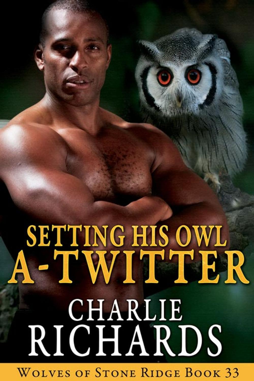 Big bigCover of Setting His Owl A-Twitter