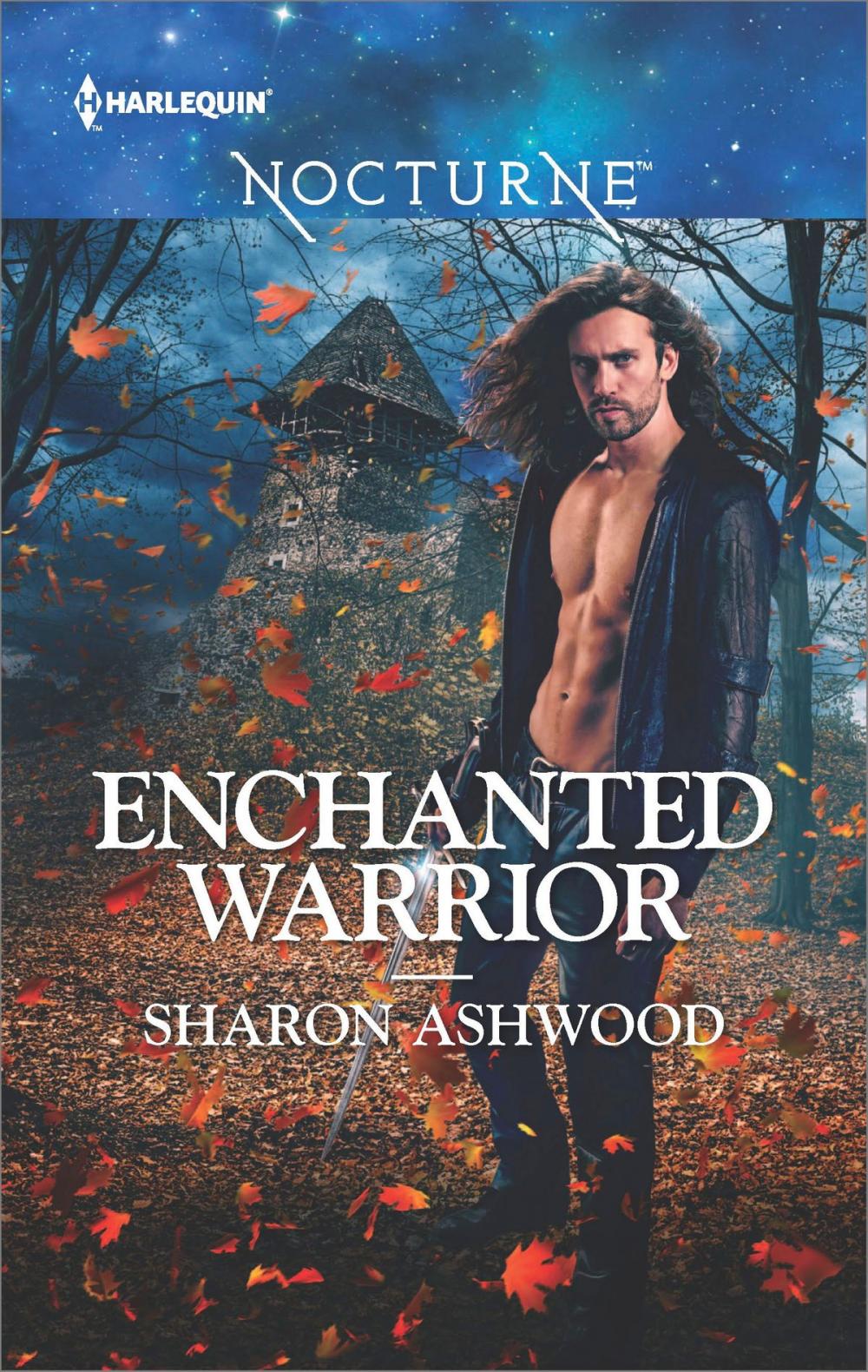 Big bigCover of Enchanted Warrior