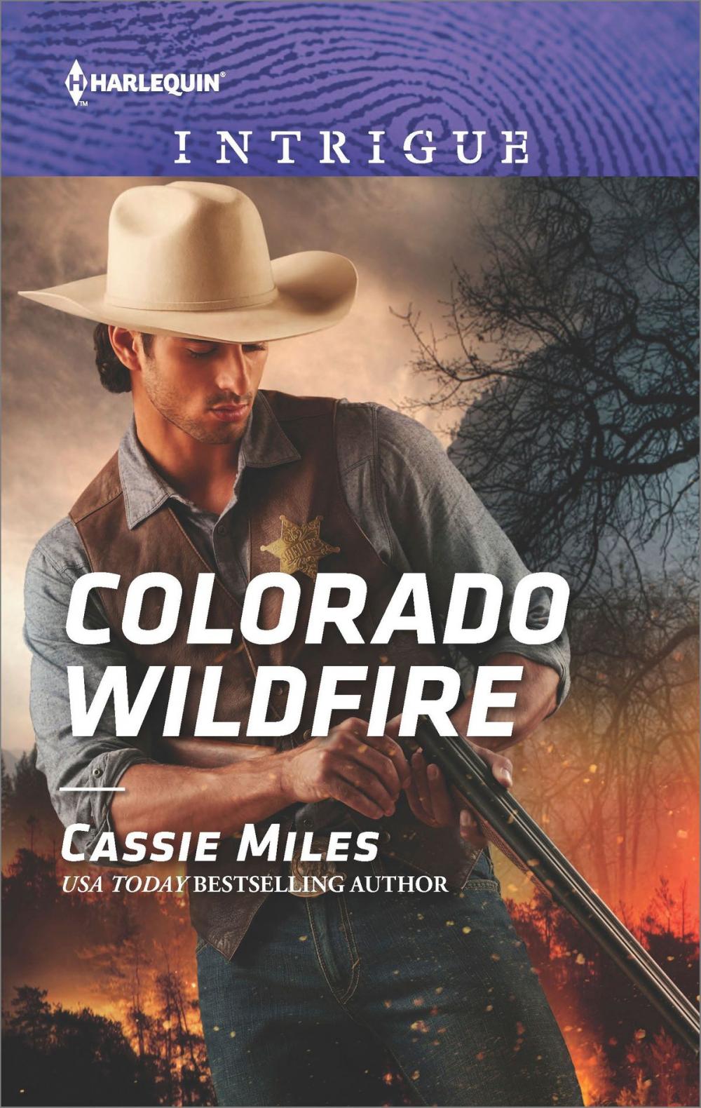 Big bigCover of Colorado Wildfire