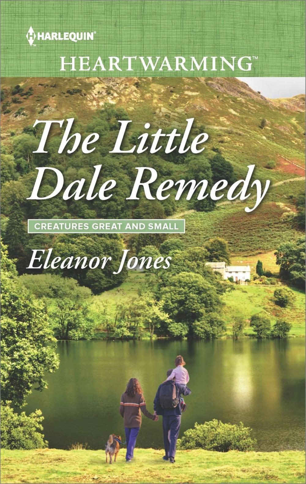 Big bigCover of The Little Dale Remedy