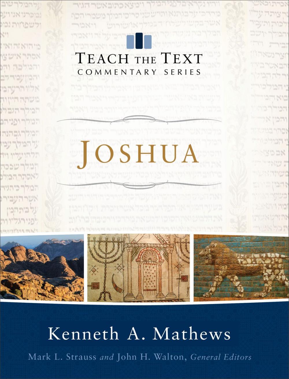 Big bigCover of Joshua (Teach the Text Commentary Series)