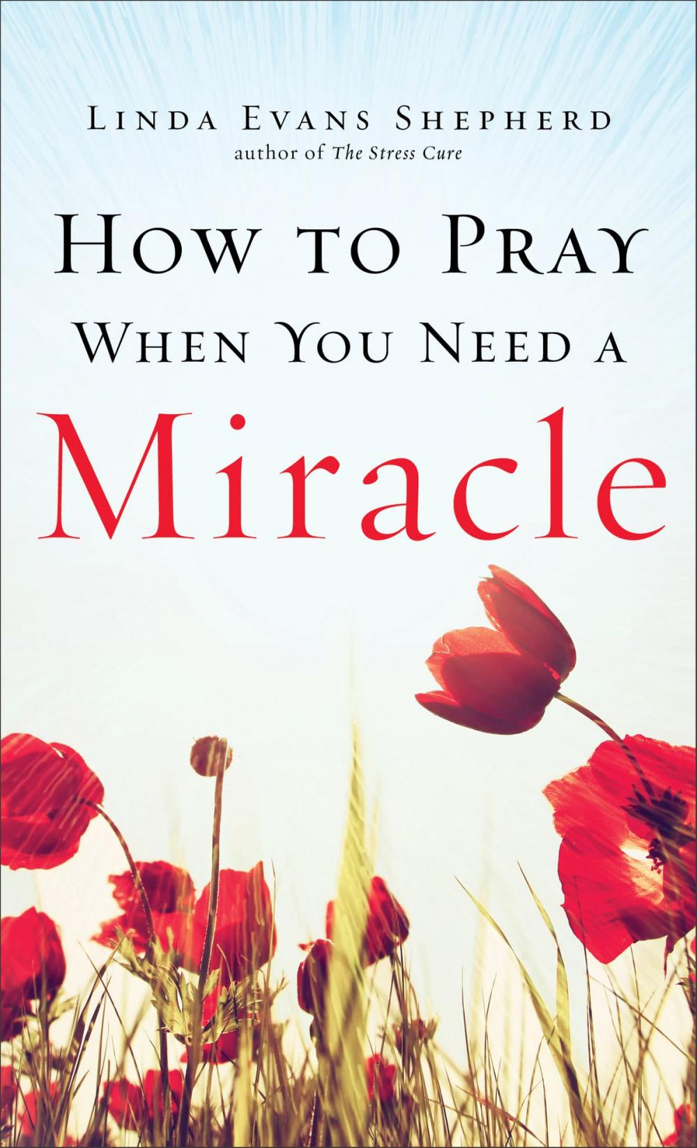 Big bigCover of How to Pray When You Need a Miracle