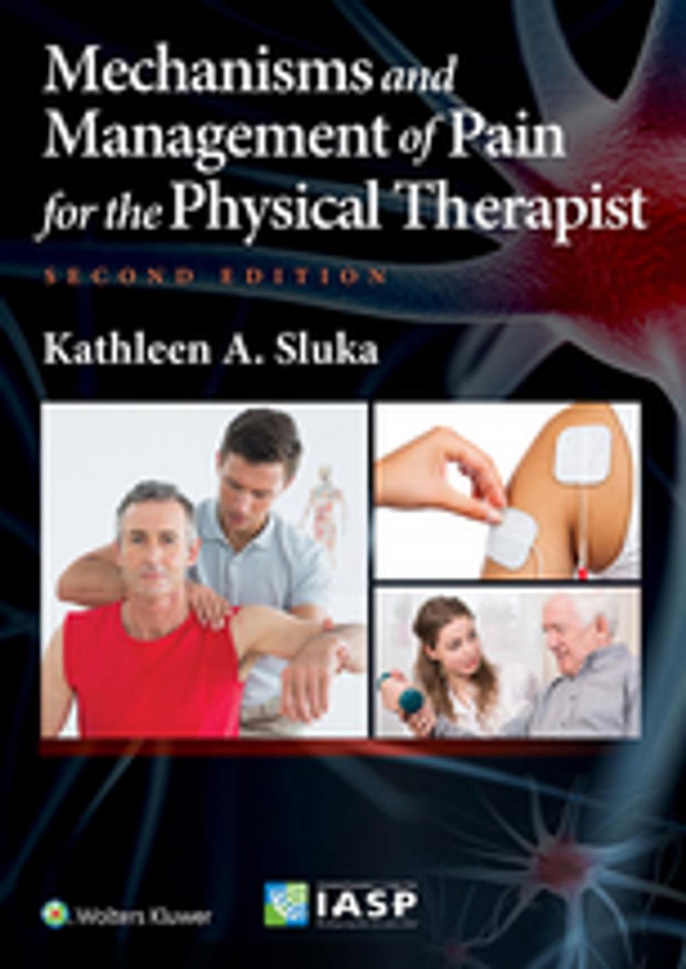 Big bigCover of Mechanisms and Management of Pain for the Physical Therapist