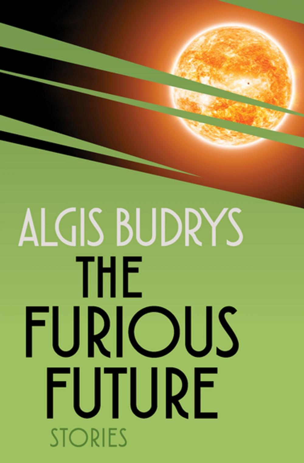 Big bigCover of The Furious Future