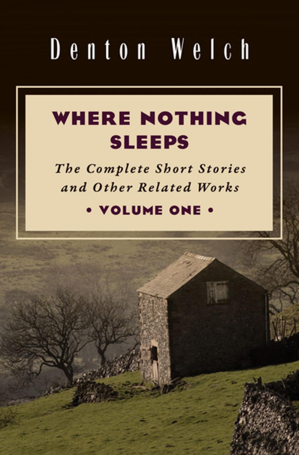 Big bigCover of Where Nothing Sleeps Volume One