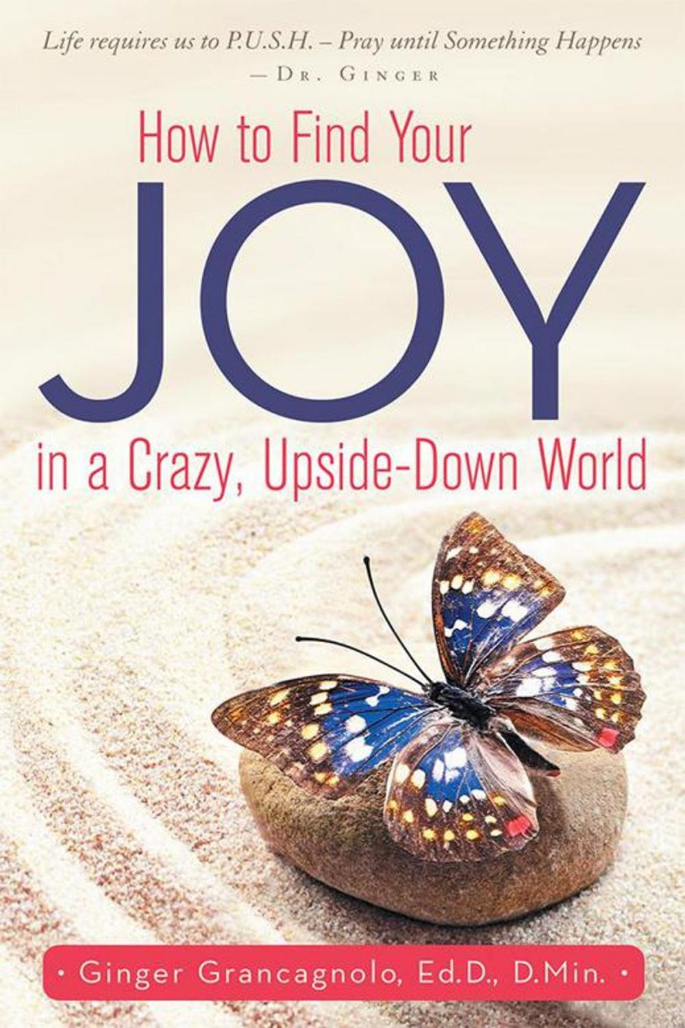 Big bigCover of How to Find Your Joy in a Crazy, Upside-Down World