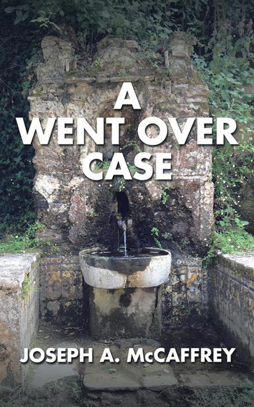 Big bigCover of A Went over Case