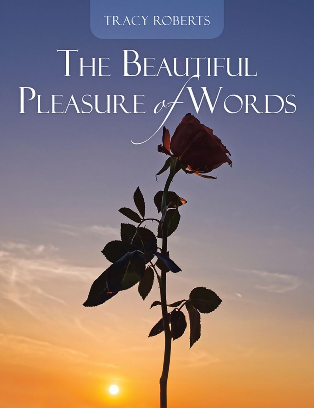 Big bigCover of The Beautiful Pleasure of Words